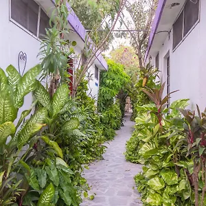 Aventura 2* Merida